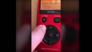 10 Minutes with the Tascam DR05 [upl. by Maudie]