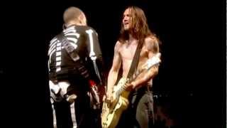 Frusciante amp Flea  Solo at Slane Castle [upl. by Verbenia]