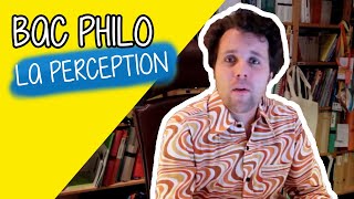 Philo Terminale  La perception ancien bac [upl. by Bunting]