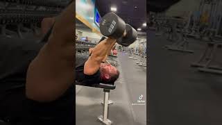 Exercise Library Dumbbell Skull Crushers Part 2  RESULTS  Progressive OverLoad [upl. by Elaynad]