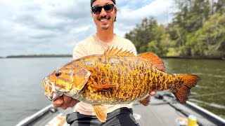 Catching 100 FISH in 6 Hour CHALLENGE Best BASS Bait EVER [upl. by Junji]