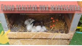 COMO HACER UNA MADRIGUERA PARA CONEJOS  BURROW RABBITS 🐇 CON RECICLAJE  📦♻️ [upl. by Inahpets]