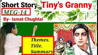 Tinys Granny story by Ismat Chughtaititlethemes summary in hindimeg14block4ignou [upl. by Bowrah721]