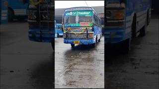 shivalaya bus status Thrissur to chendrappini privatebus buskerala KL 08 bus shorts [upl. by Aneloj]