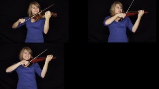 Wake Me Up Avicii amp Aloe Blacc  Taylor Davis Violin amp Electric Violin Cover [upl. by Tammara542]