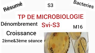 TP de MicrobiologieS32èmeamp3ème séanceRésuméDénombrementCroissance bactériennemilieu solidefsr [upl. by Duthie]