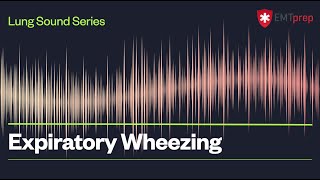 Expiratory Wheezing  EMTprepcom [upl. by Ashlie]