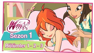 Winx Club  Sezon 1 Bölümler 1  2  3 TÜM BÖLÜMLER [upl. by Luap692]