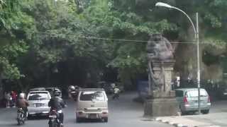 Monkey Forest Ubud Bali  Car Ride [upl. by Etty]