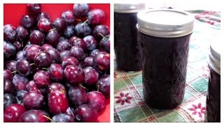 How to make Plum Jam  Canning Done Easy [upl. by Ainez]