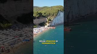 Se siete nel GARGANO non perdetevi questa spiaggia 🇮🇹 puglia andreabattistini gargano [upl. by Bary304]