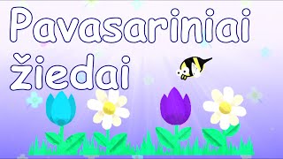 🌻Pavasariniai žiedai  Karaoke 🎤 [upl. by Niddala178]