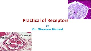 practical of receptors [upl. by Animehliw]