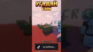 УГАДАЙ БЛОК  №2 minecraft майнкрафт [upl. by Gaylor877]