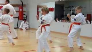 Kurts Green Belt Test 6th GUP at Tang Soo Do Karate [upl. by Ater887]