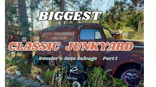 BIGGEST Untapped Classic Junkyard Ive Seen Yet [upl. by Yeliab]