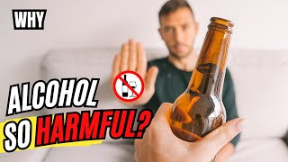 Why Alcohol is Harmful  Side Effects of Alcohol Explained [upl. by Sacksen]