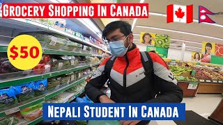 50 Grocery Shopping In Canada For International Students  Food Basics  Nepali Student In Canada [upl. by Winslow]