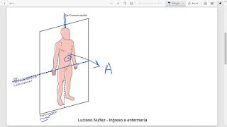 Planos y ejes anatómicos  explicación breve [upl. by Ikciv215]