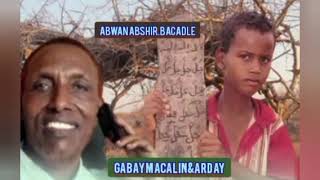 Gabay Qiimo badan dardaaran Macalim abwan abshir bacadle [upl. by Daphie]