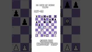 Sicilion Najdorf Trap Day 2930 chess chesslessons chessgrandmaster rgbucket notyourtypehikaru [upl. by Achorn]