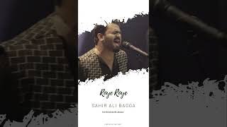 Roye Roye  Sahir Ali Bagga  sahiralibagga cokestudio [upl. by Jacynth]