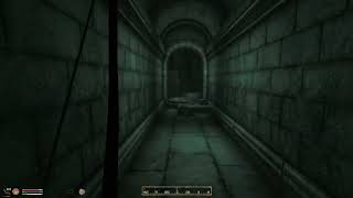 Yet More Oblivion to Fall AsleepCan I Beat EVERY Oblivion Questline Using ONLY Tutorial Gear Pt 5 [upl. by Hoffmann]