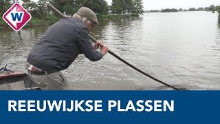 Reeuwijkse Plassen balans zoeken tussen natuur bewoners en recreatie [upl. by Etteniuqna]