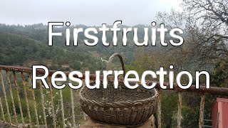 What is Firstfruits and Resurrection [upl. by Yenalem]