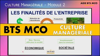 AIDE BTS MCO  Quelles sont les finalités des entreprises  RSE  CULTURE MANAGERIALE BTS [upl. by Aicirtac726]