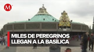 Llegan peregrinos a la Basílica de Guadalupe prevén afluencia de más de 11 millones de personas [upl. by Silvester]