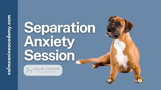 Separation Anxiety Treatment Systematic Desensitization [upl. by Rodman]