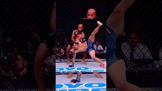 Mighty Mouse 🐁 INFAMOUS FLYING ARMBAR 💥 [upl. by Ennire]