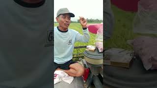 Pak karmen mumet golek pakan sapi [upl. by Sang]