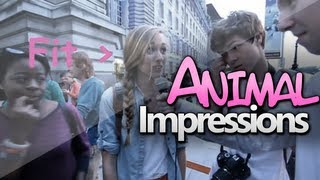 Animal Impressions  In London [upl. by Nnylrebma451]