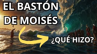 Los MILAGROS del BASTÓN de MOISÉS 🦯​ El MILAGRO más FAMOSO de la BIBLIA 🌊 HISTORIA DE LA RELIGIÓN 📜 [upl. by Annoj843]