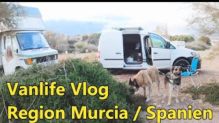 Es ist voll in Spaniens Süden  Caddy Minicamper Vlog [upl. by Attelrahc414]