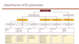 Bacteremia and Clinical Resistance [upl. by Lorsung654]