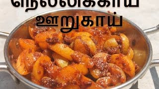 நெல்லிக்காய் ஊறுகாய்  Nellikai Oorugai Recipe  Gooseberry Pickle [upl. by Marb]