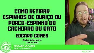 Como retirar ESPINHOS de ouriço ou porcoespinho de Cães e Gatos  Dr Edgard Gomes [upl. by Aiyram]