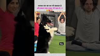 Dogs ki vafadarishortsfeed dog dogtype shortvideo [upl. by Loar]