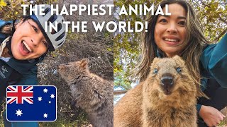 The BEST day on Rottnest Island Biking and Quokka selfies [upl. by Mata132]