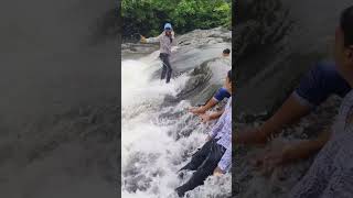 Masti Padi Bhari chinchotiwaterfall waterfall tungareshwar [upl. by Acimad]