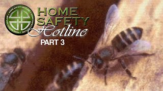 Home Safety Hotline  Highlights Part 3 [upl. by Olodort]