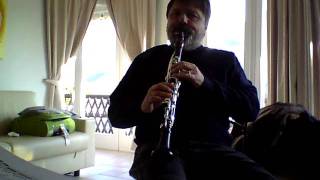 practicing Beethoven 4  Corrado Giuffredi clarinet [upl. by Malvie]