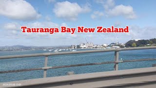 Tauranga BayNew Zealand 🇳🇿 [upl. by Ahsilla]