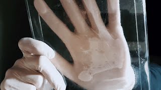 ASMR Latex Gloves On Glass [upl. by Gnes]