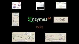 Enzymes 3 JM mov [upl. by Assenay]