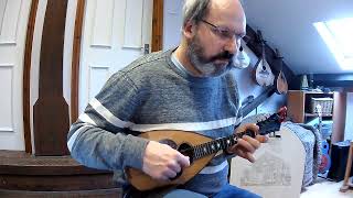 Lo Guarracino Canzone sulla Tarantella Neapolitan song on mandolin [upl. by Burrton]