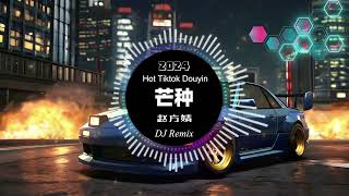 赵方婧  芒种 remix chinese dj 2024 抖音热搜版  最新最火dj抖音版2024  🎶【抖音热门歌曲】抖音 Hot Tiktok Douyin  芒种 DJ Remix [upl. by Christensen]